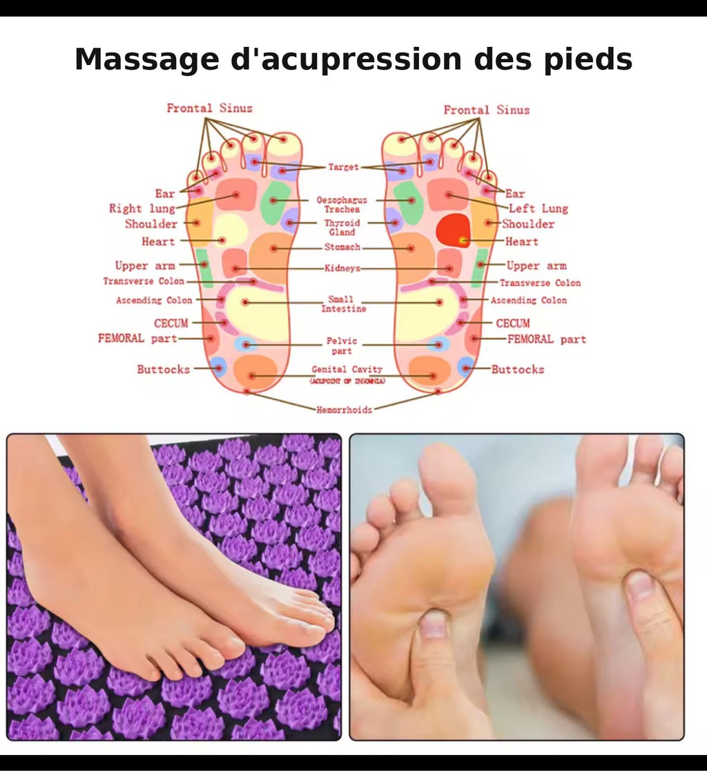 Pack Dos Complet — Étireur Dorsal + Tapis d'Acupression